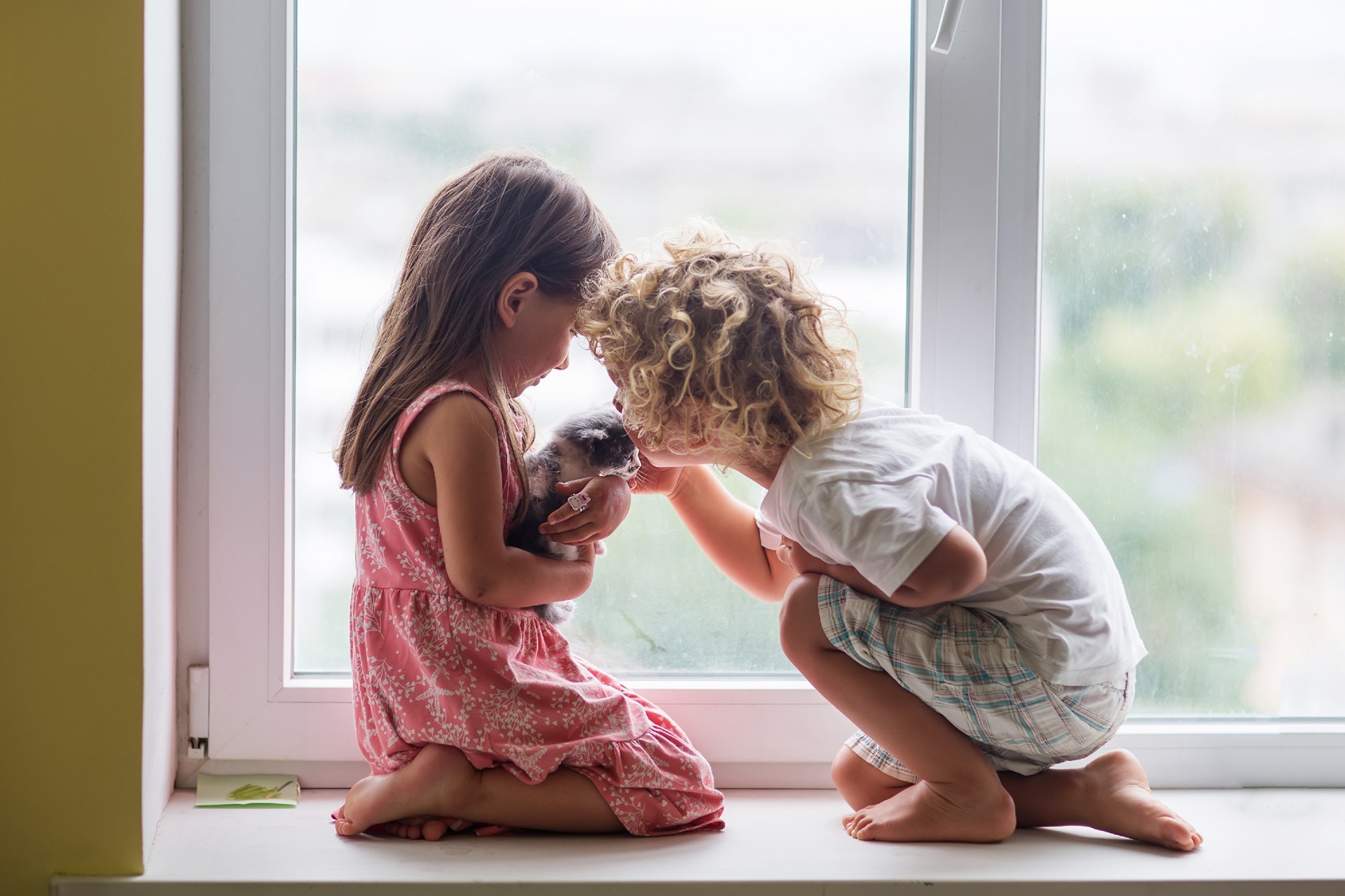 two children cuddle a small kitten in front of a window