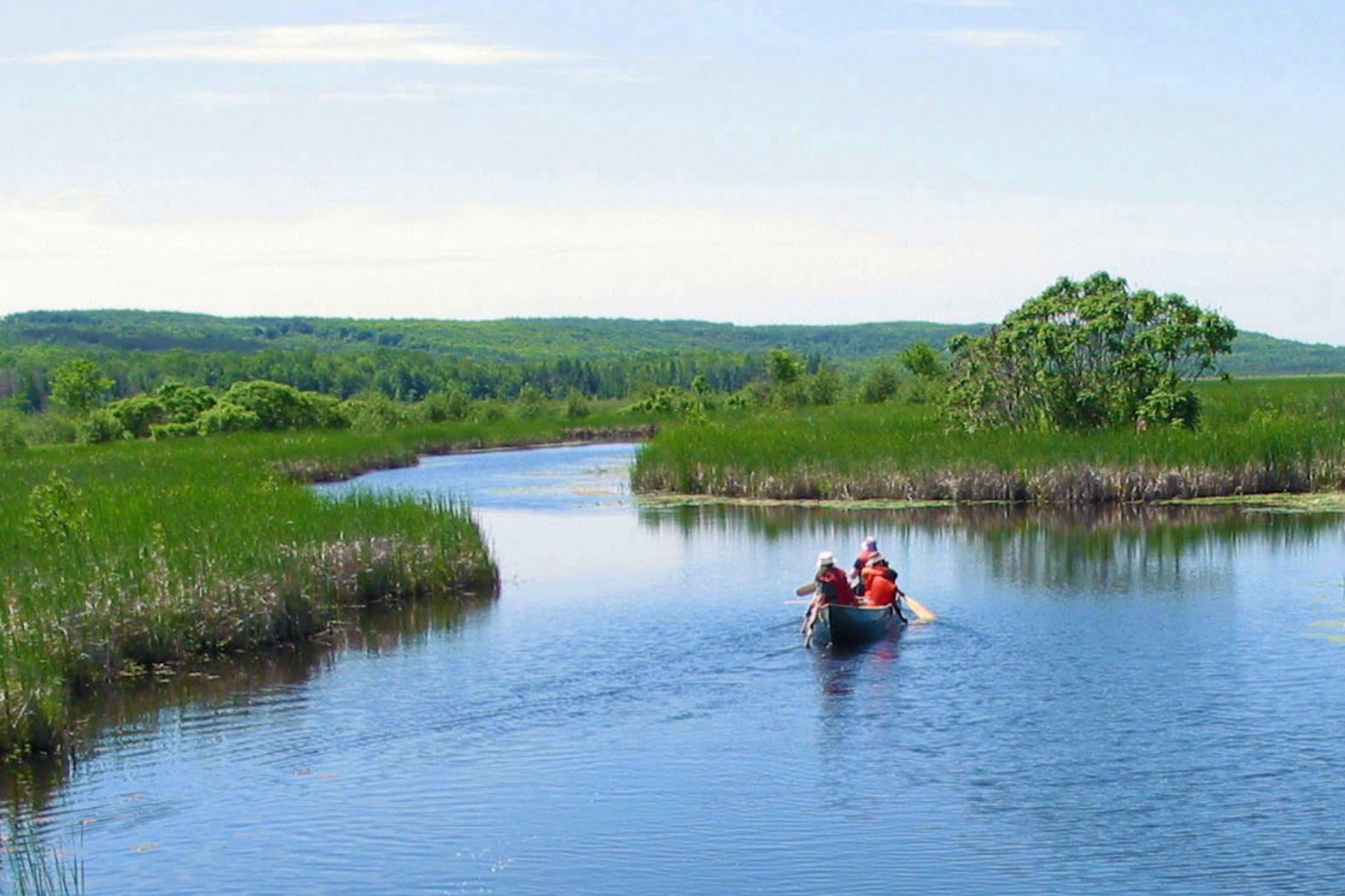 canoeing in the marsh