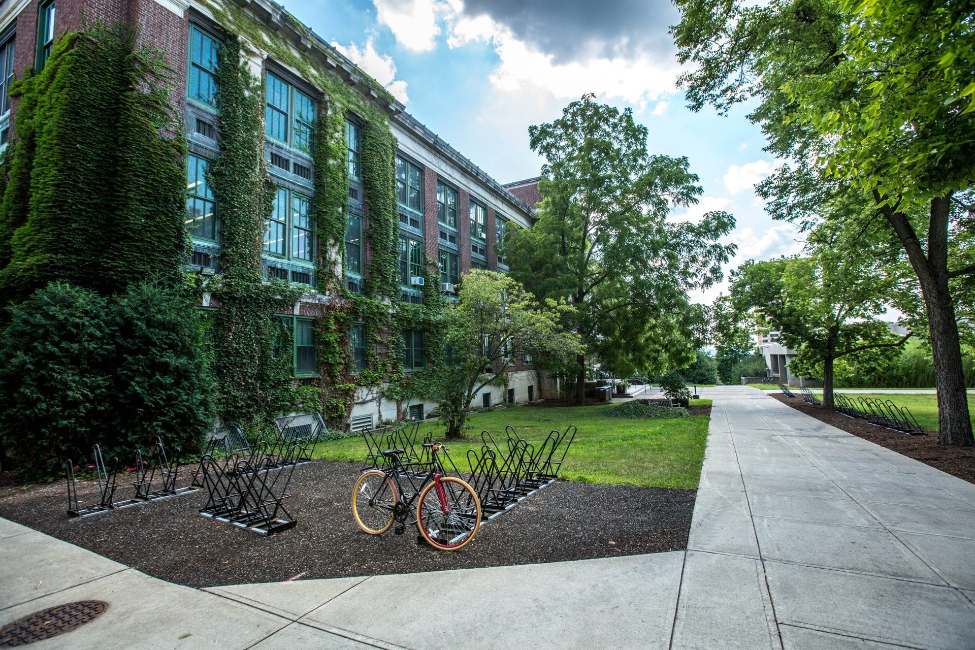 Exterior of a school with vines growing up the bricks, bike racks are on the lawn