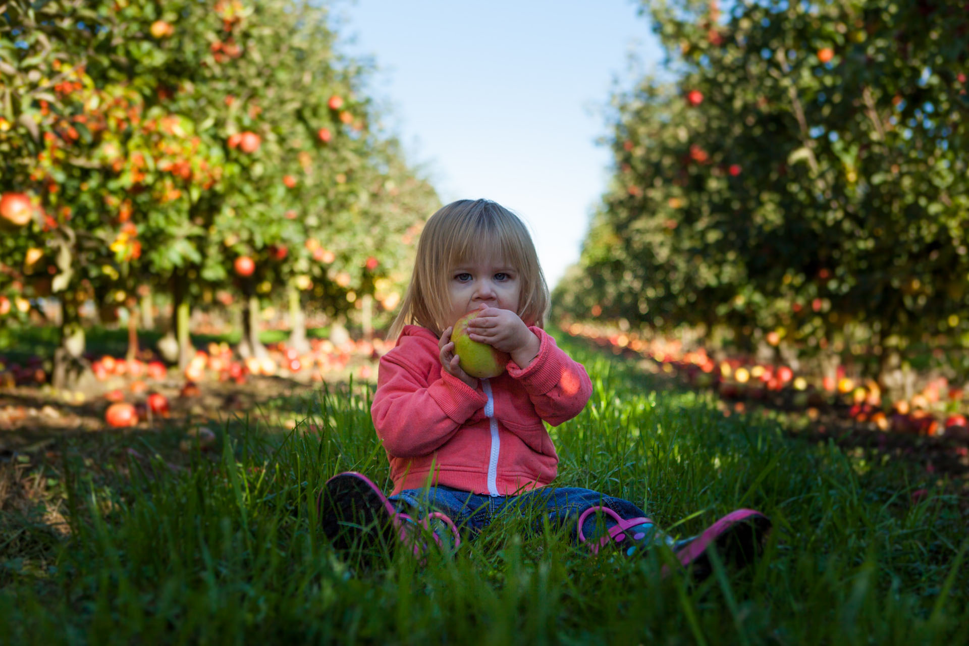 female child eating apple sitting on grass