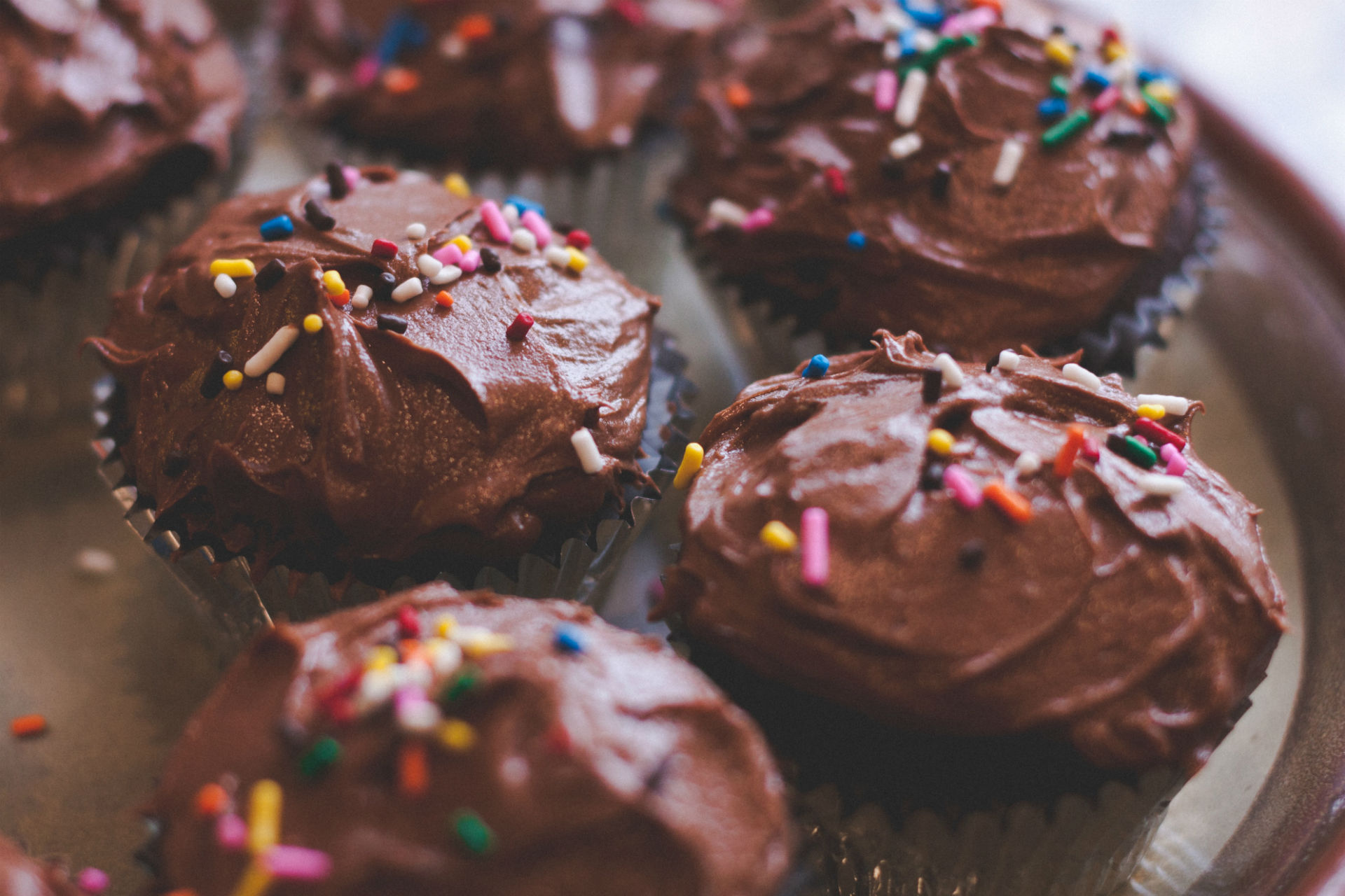 tray of chocolate cupcakes with chocolate icing and sprinkles