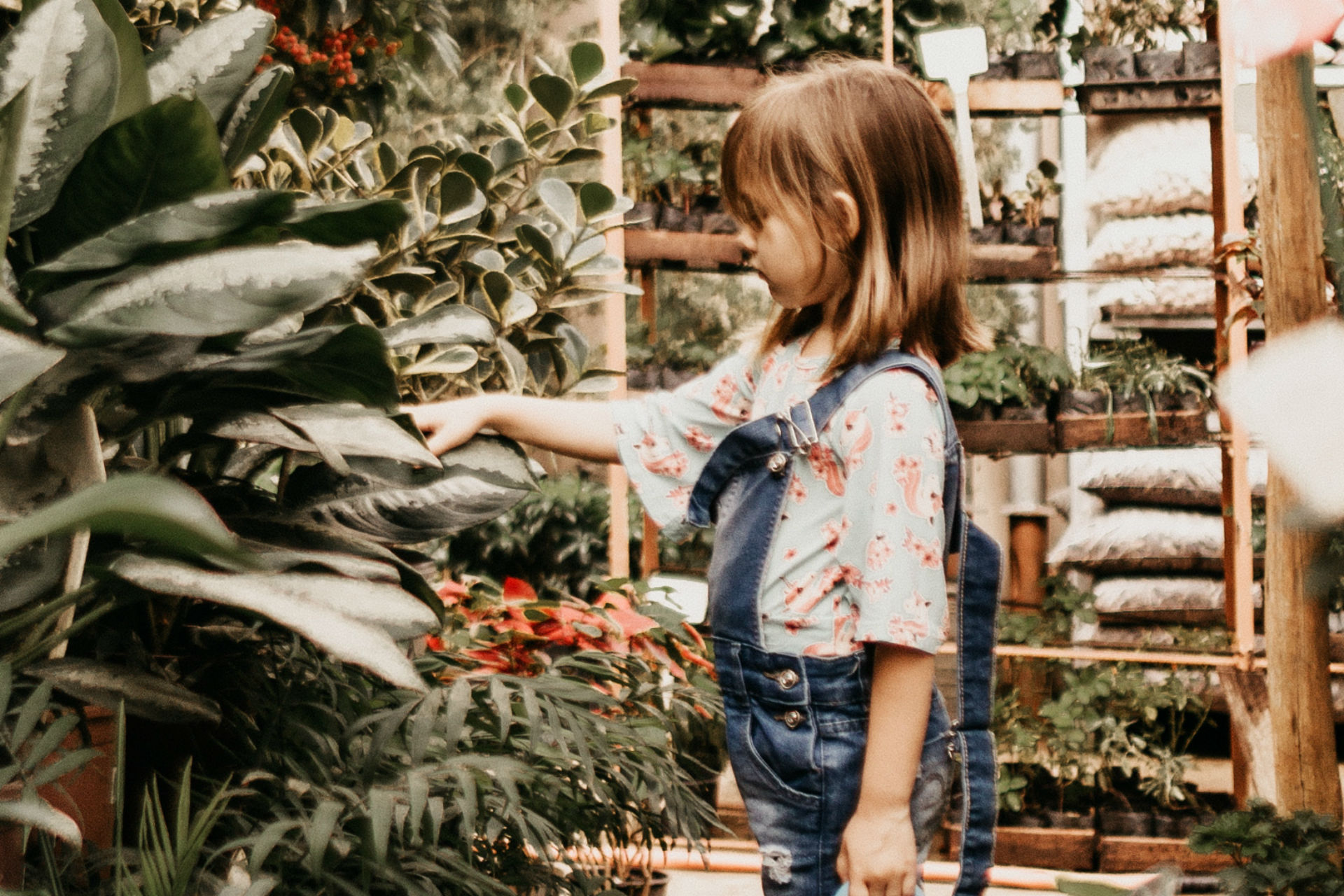 little girl in a greenhouse
