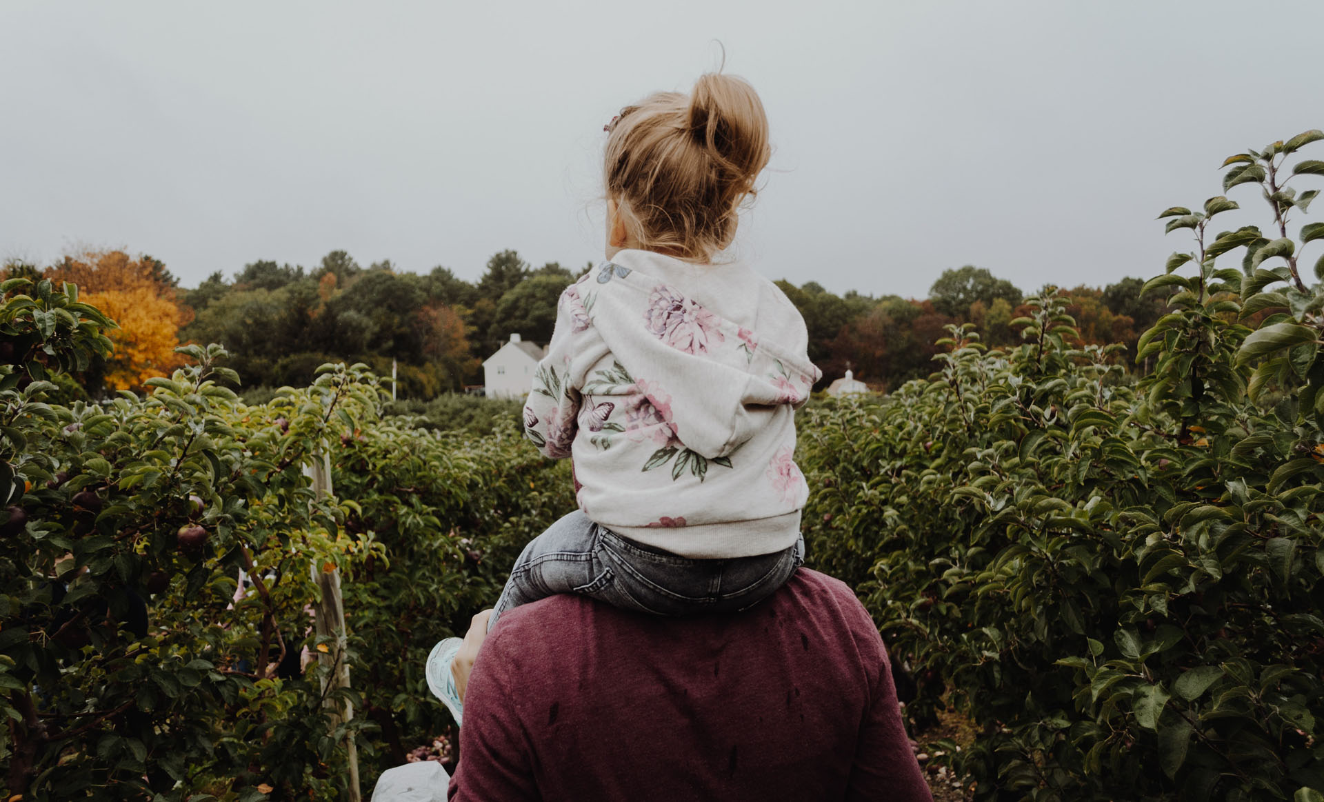 daughter sits on fathers shoulders outside in a field