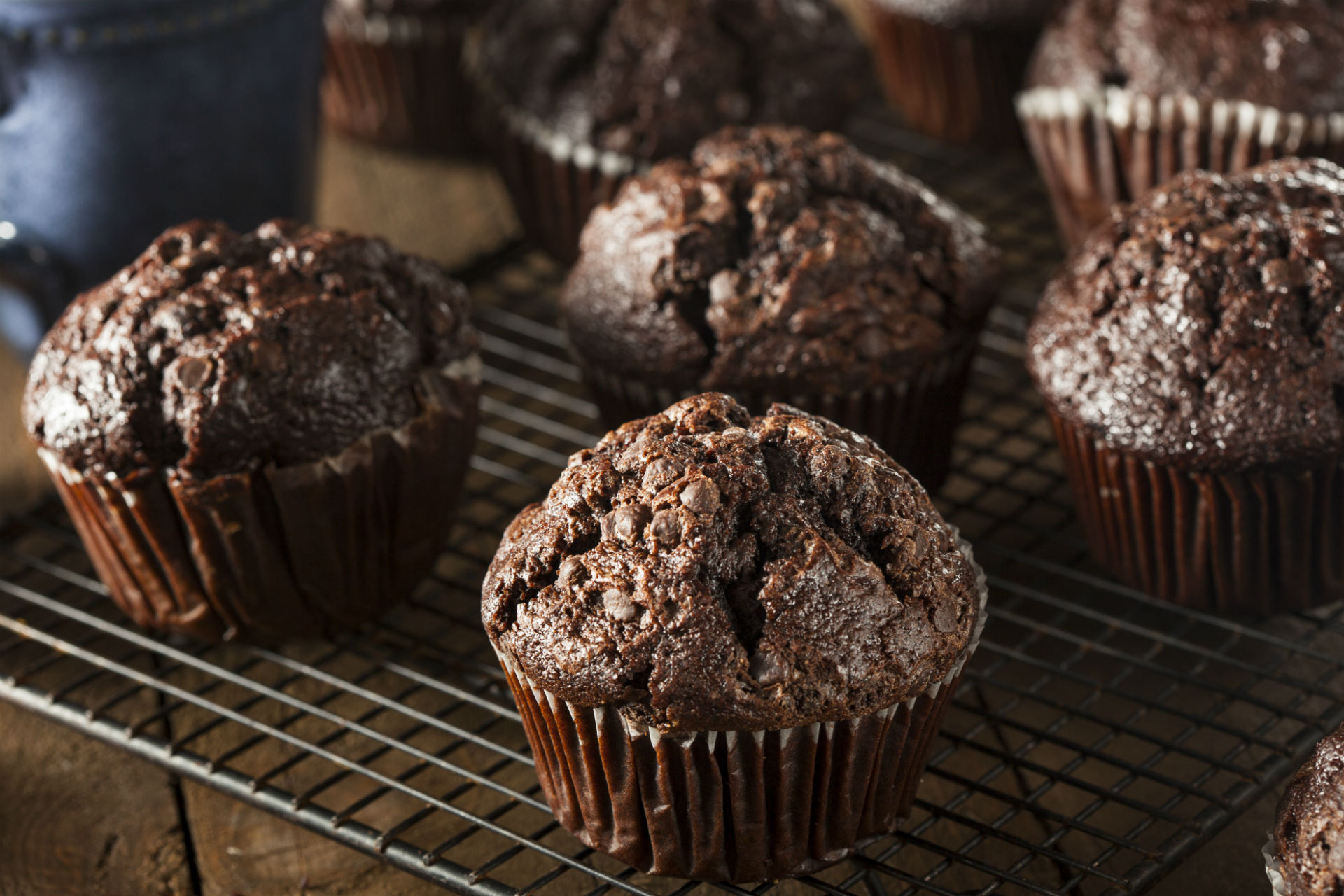 tray of chocolate muffins