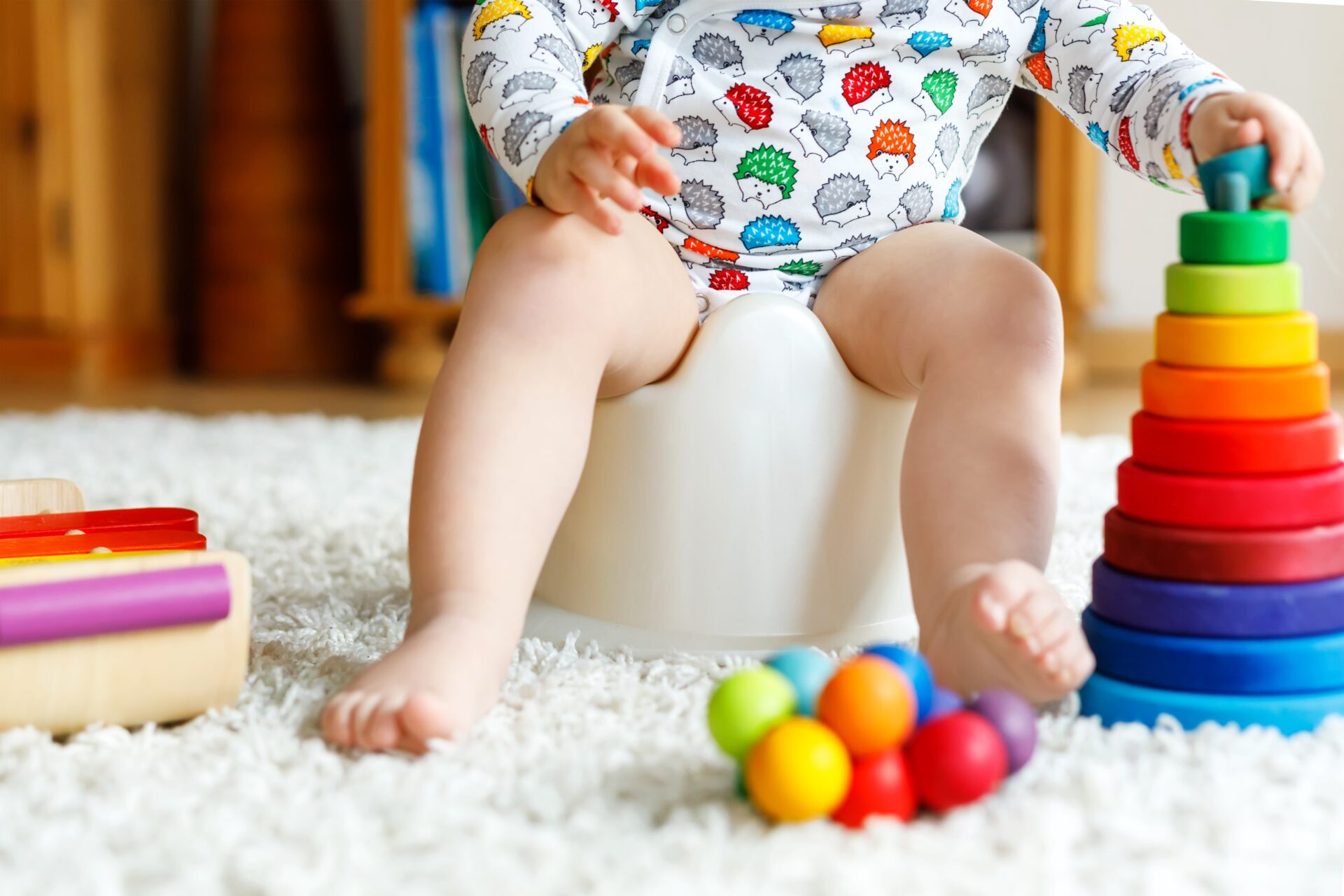 Potty Training Basics Potty Training Basics