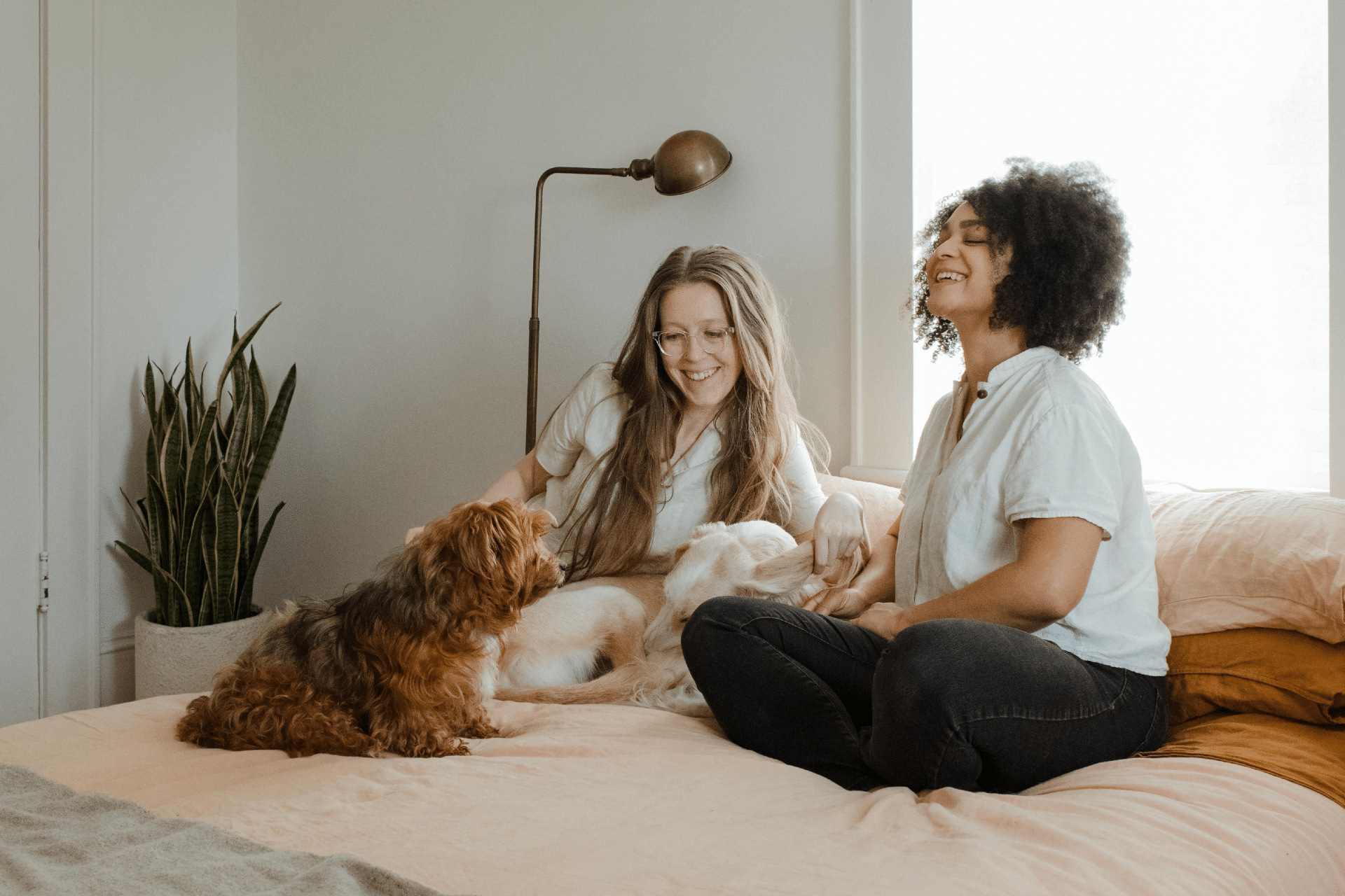 two women sit in bed with their dog looking content